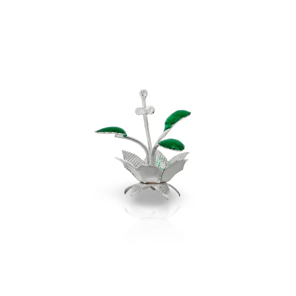 Bring Calm and Harmony to Your Life with Our Silver Tulsi Plant
