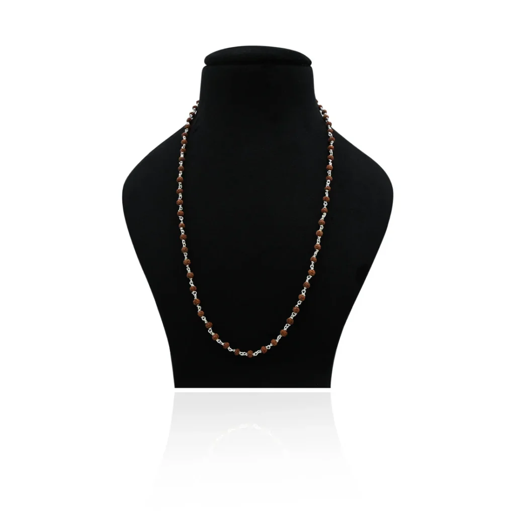 Rudra Divine Aura Original Rudraksha Chain in Silver